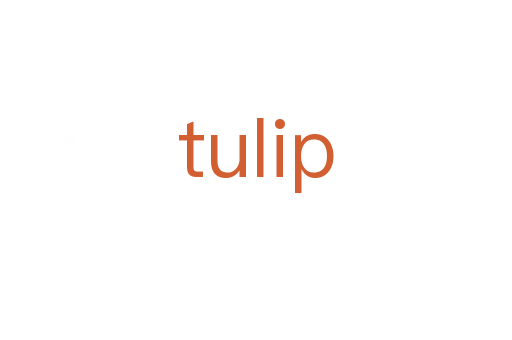 tulip